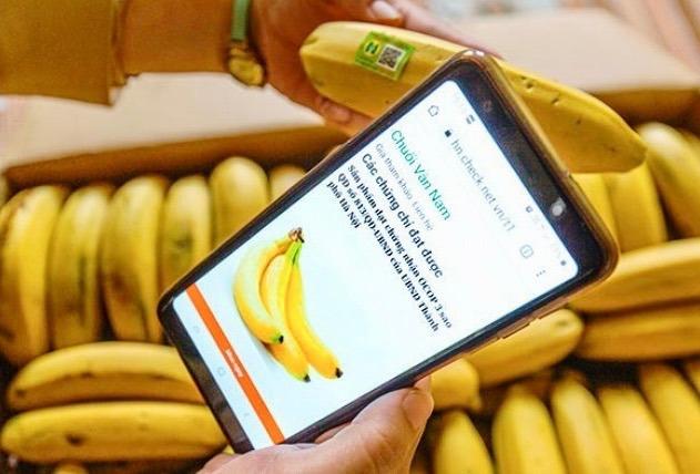 AI giá rẻ đang thay đổi doanh nghiệp công nghiệp nông thôn như thế nào?