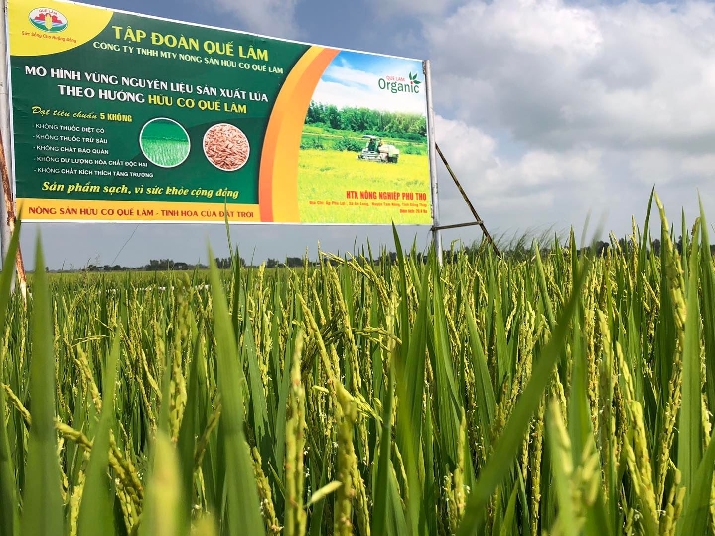 Phụ phẩm không còn là phế phẩm: Doanh nghiệp công nghiệp nông thôn kiếm tiền từ kinh tế tuần hoàn