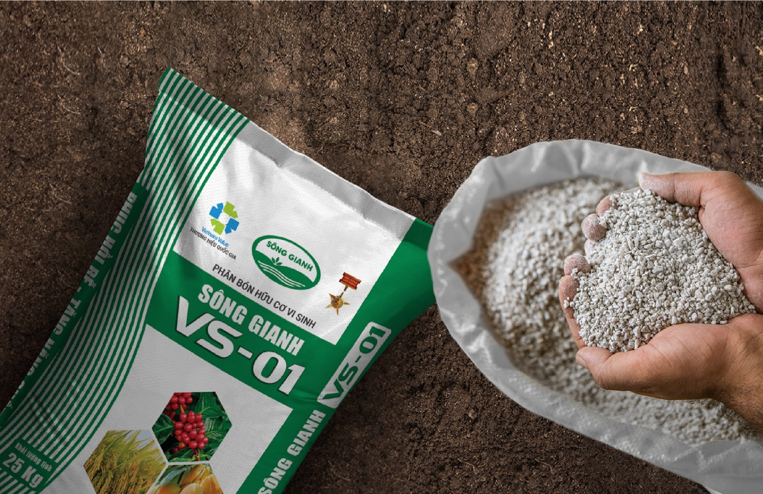 Công nghệ sinh học đang thay đổi ngành phân bón Việt Nam như thế nào?
