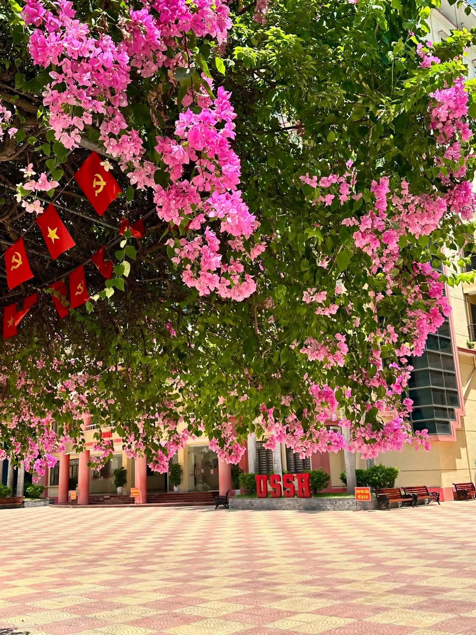 Tuyển sinh 2026: Công bố điểm sàn các trường đại học