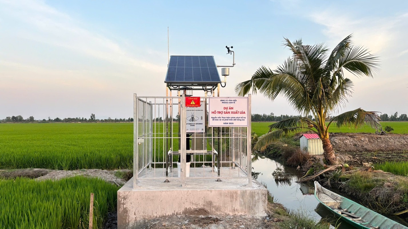 Cảm biến thông minh đang giúp nông dân tiết kiệm nước và phân bón như thế nào?