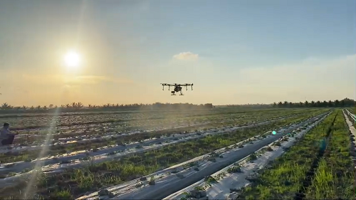 Máy bay không người lái đang thay đổi cách chăm sóc cây trồng