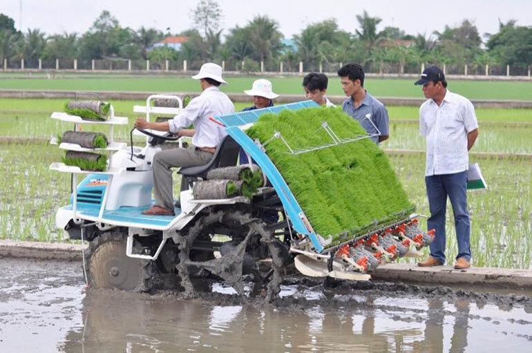 Thuê dịch vụ máy nông nghiệp: Giải pháp tiết kiệm cho sản xuất quy mô nhỏ