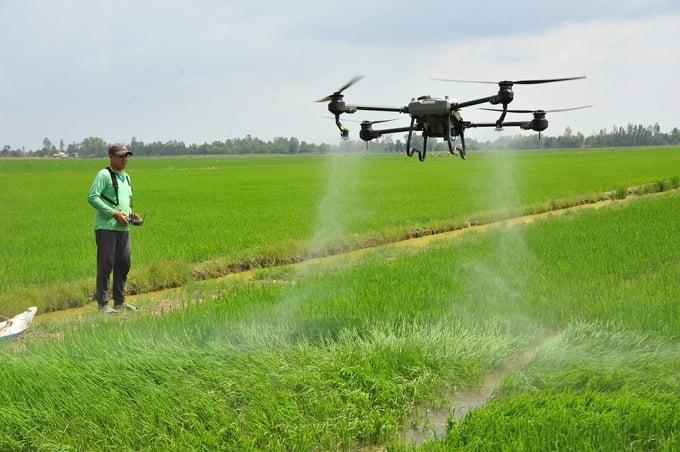 Thuê dịch vụ máy nông nghiệp: Giải pháp tiết kiệm cho sản xuất quy mô nhỏ