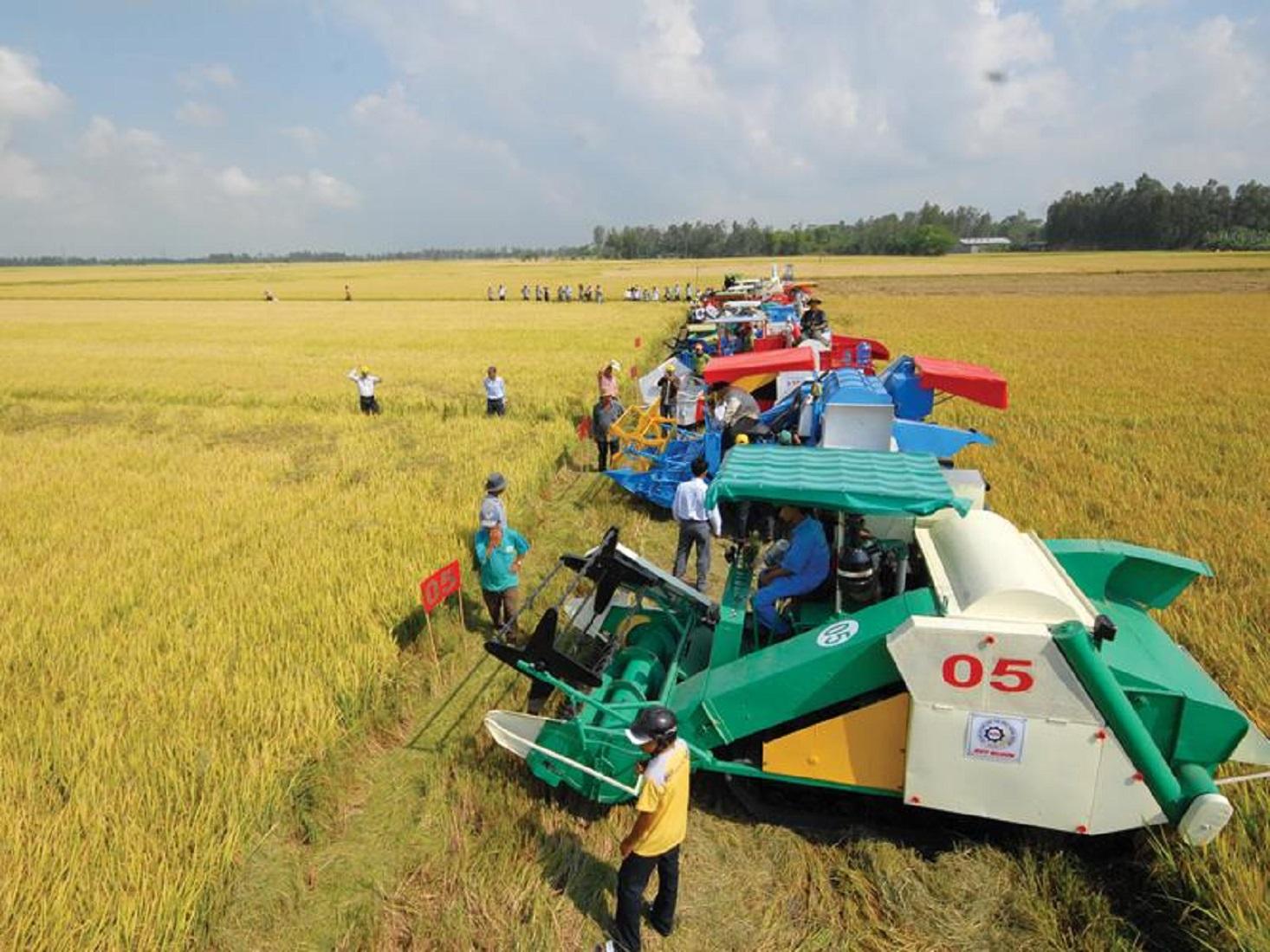 Thuê dịch vụ máy nông nghiệp: Giải pháp tiết kiệm cho sản xuất quy mô nhỏ
