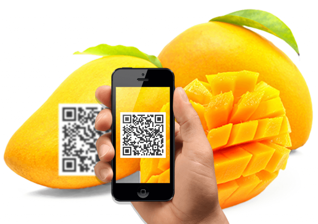 Ứng dụng mã QR truy xuất nguồn gốc giúp người tiêu dùng tiếp cận thông tin sản phẩm, góp phần nâng cao tính minh bạch và củng cố niềm tin đối với nông sản.