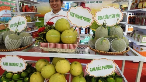 Hà Tĩnh dự kiến xây dựng 5 điểm trưng bày, giới thiệu sản phẩm công nghiệp nông thôn tiêu biểu gắn với xúc tiến thương mại và phát triển du lịch.