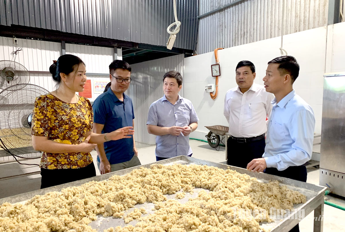 Hoạt động sản xuất tại cơ sở công nghiệp nông thôn được hỗ trợ từ chương trình khuyến công, góp phần thúc đẩy đổi mới công nghệ và nâng cao năng lực cạnh tranh.