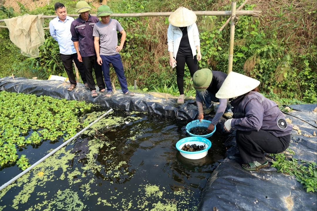 Những vùng sản xuất tập trung và chuỗi liên kết nông nghiệp đang góp phần thúc đẩy chuyển đổi cơ cấu cây trồng, nâng cao giá trị nông sản và xây dựng nông thôn mới tại Nghĩa Đồng.