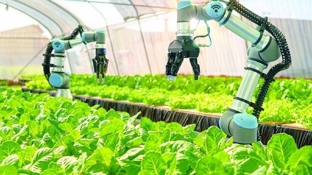 Trí tuệ nhân tạo (AI), Internet vạn vật (IoT) và dữ liệu lớn đang mở ra hướng phát triển mới cho nền nông nghiệp thông minh.