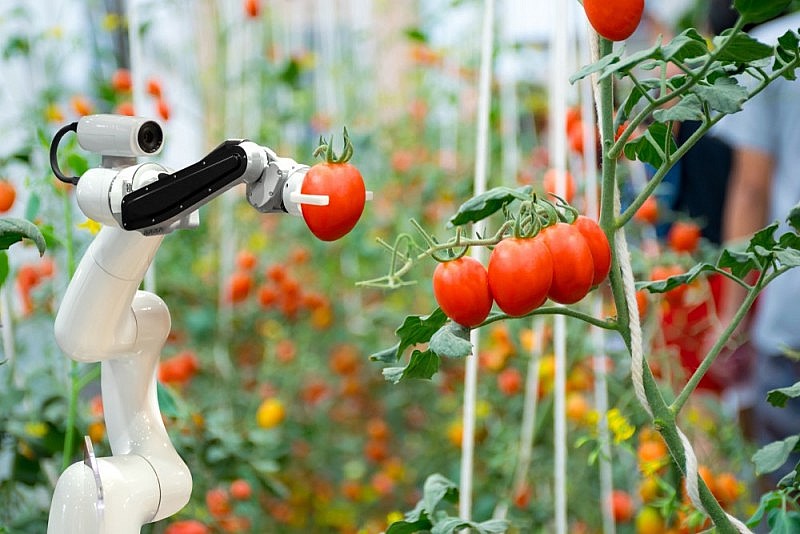 Robot và hệ thống tự động hóa