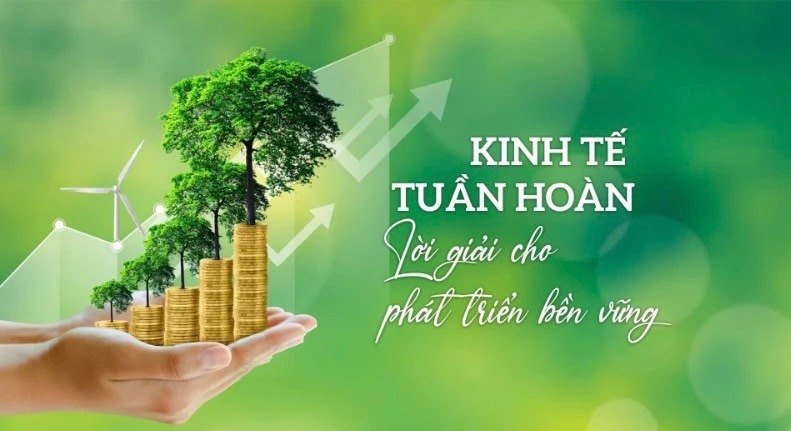Từ bùn hữu cơ đến vật liệu trồng cây: Hướng đi mới của kinh tế tuần hoàn nông sản