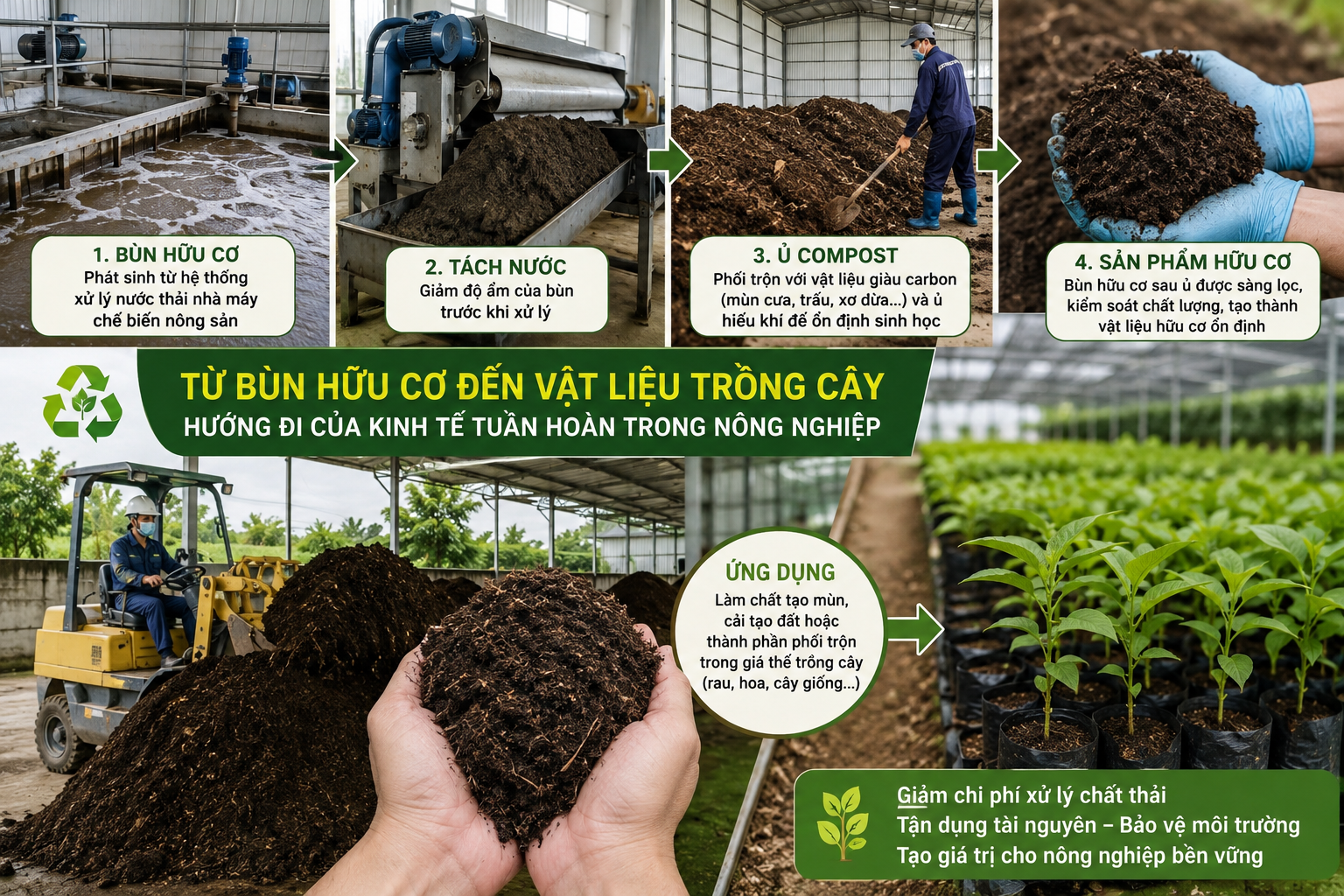 Từ bùn hữu cơ đến vật liệu trồng cây: Hướng đi mới của kinh tế tuần hoàn nông sản