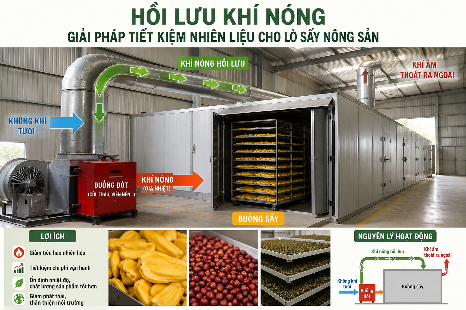 Khí nóng không còn bị “thổi bỏ”: Bí quyết giảm chi phí nhiên liệu của các lò sấy nông sản