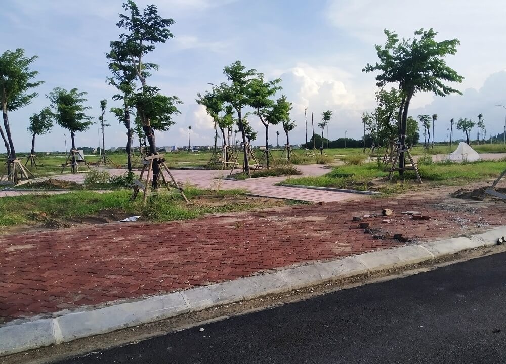 Bac-Ninh-dua-36-lo-dat-vao-ke-hoach-dau-gia-2026.jpg