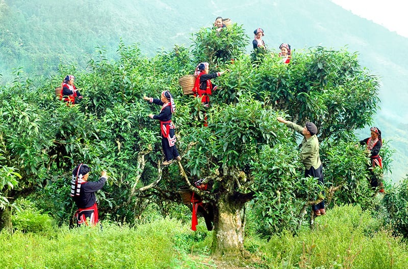 Khi làng nghề bước vào cuộc chơi thương hiệu: Ai đang nắm giữ giá trị của câu chuyện địa phương?