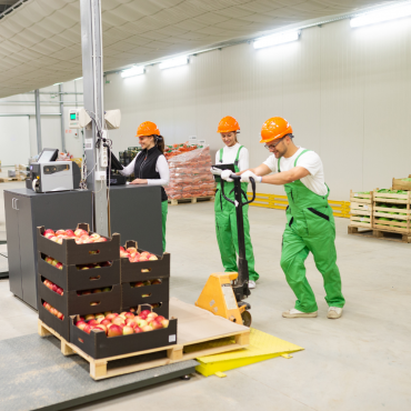 Kho lạnh thuê linh hoạt theo nhu cầu: Lối đi mới cho hợp tác xã nông sản mùa cao điểm