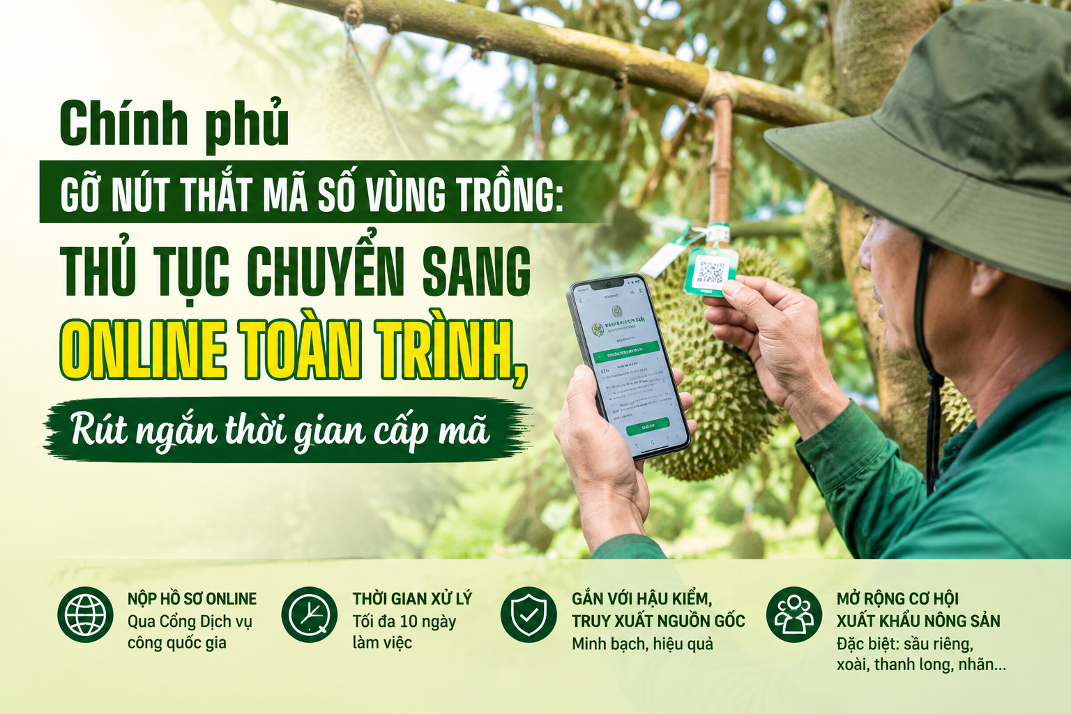 Chính phủ gỡ nút thắt mã số vùng trồng: Thủ tục chuyển sang online toàn trình, rút ngắn thời gian cấp mã