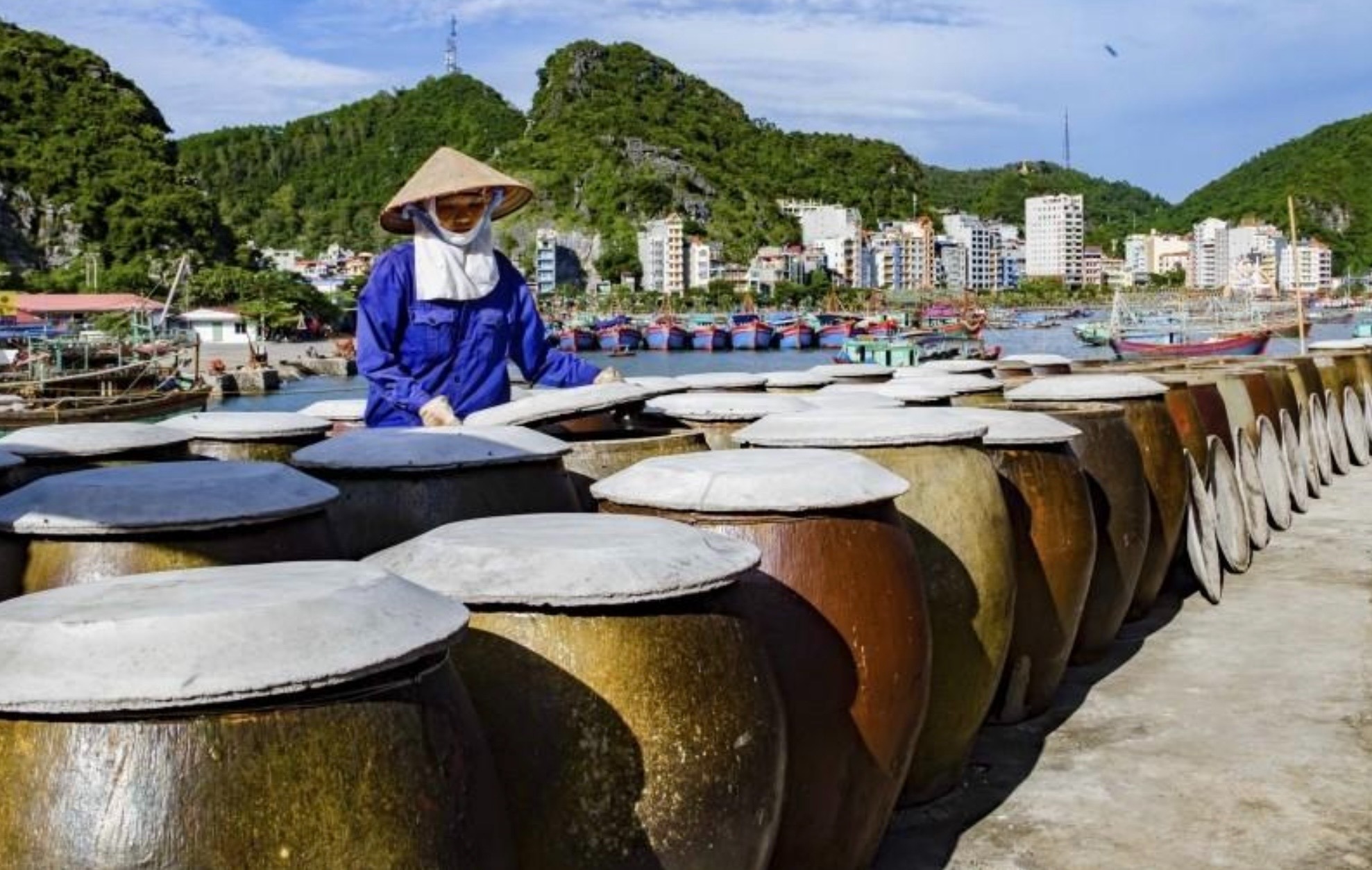 “Điểm nghẽn không nằm ở máy móc”: Vì sao nhiều cơ sở chế biến nông thôn vẫn khó tăng giá trị?