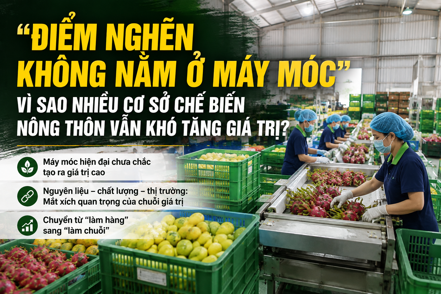 “Điểm nghẽn không nằm ở máy móc”: Vì sao nhiều cơ sở chế biến nông thôn vẫn khó tăng giá trị?
