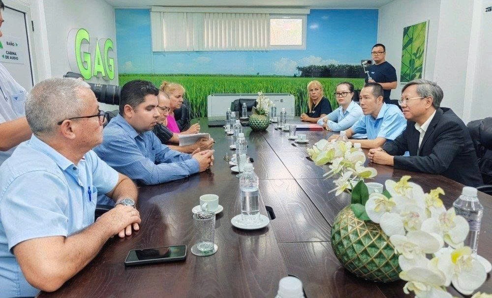 Doanh nghiệp Việt gặt “trái ngọt” từ dự án lúa gạo tại Cuba