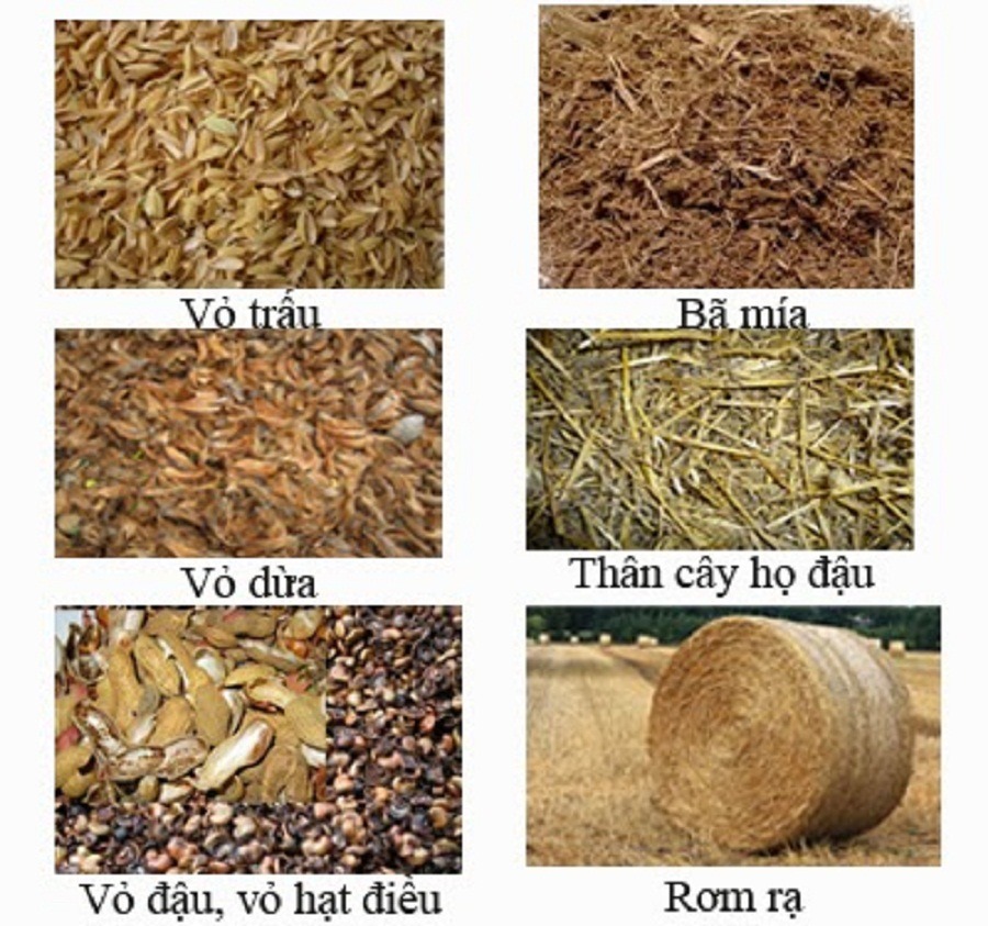 Vật liệu đóng gói sinh học từ phụ phẩm nông nghiệp: Khi công nghiệp nông thôn bước vào kinh tế tuần hoàn