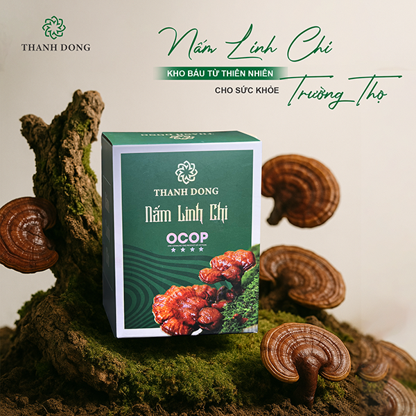Hàng tốt nhưng đường ra chưa rộng: Bài toán thị trường của sản phẩm công nghiệp nông thôn