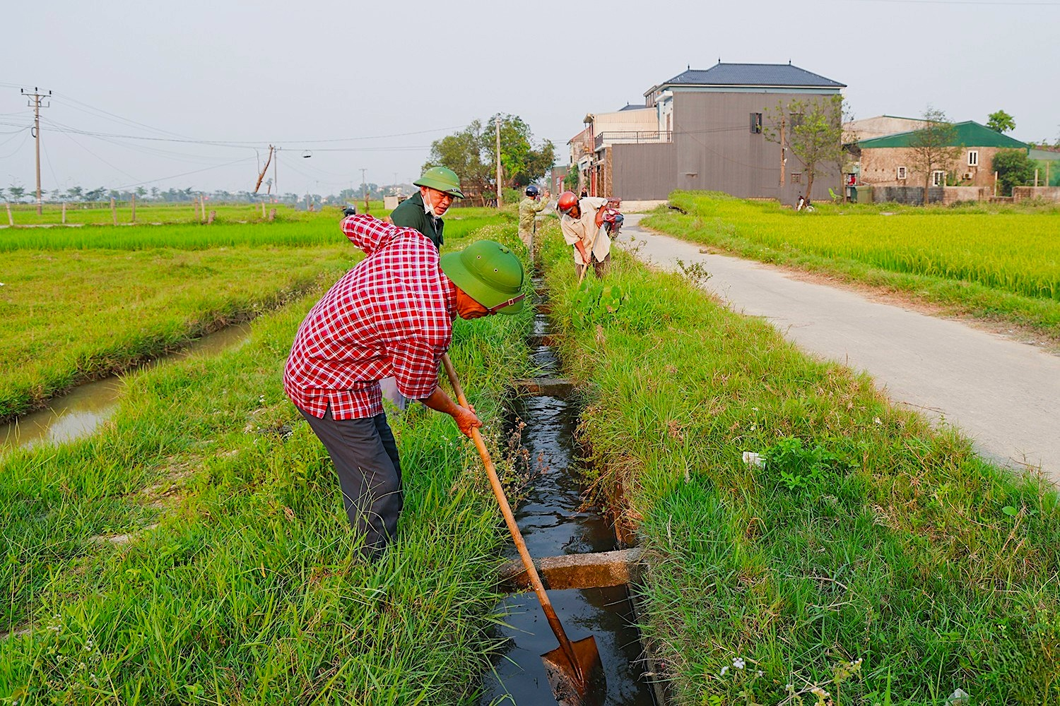 Điều tiết nước phù hợp với từng giai đoạn sinh trưởng giúp cây lúa phát triển khỏe, hạn chế lãng phí nguồn nước.