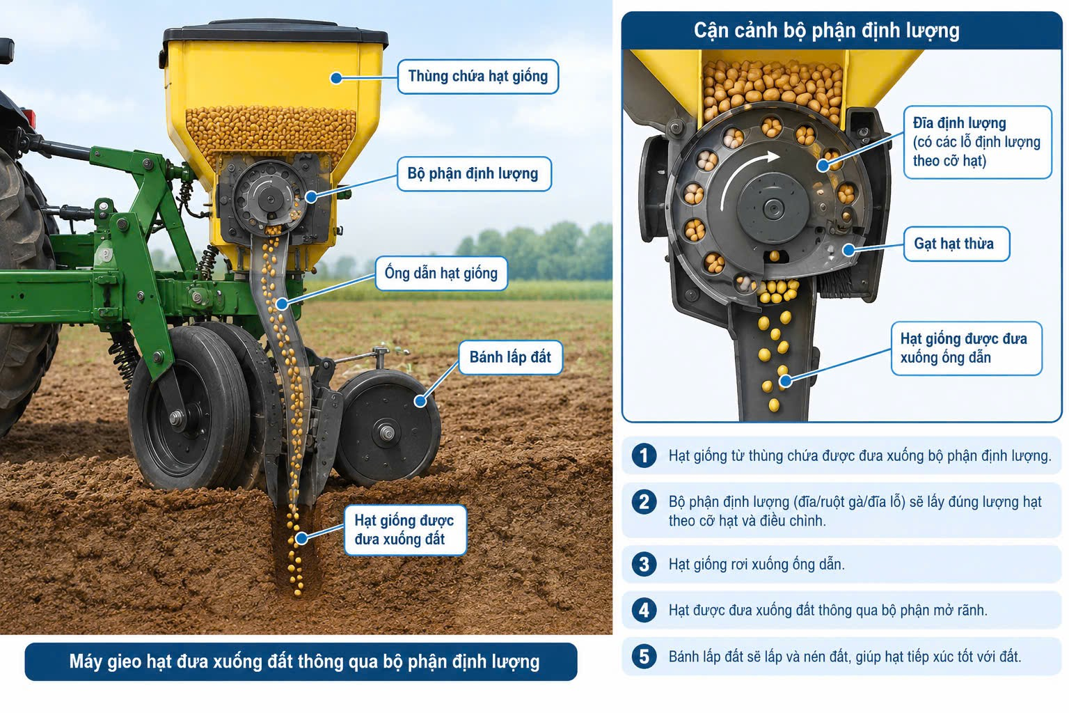 Máy gieo hạt đưa giống xuống đất thông qua bộ phận định lượng, giúp kiểm soát lượng và vị trí hạt thay vì gieo phân tán theo cảm tính.