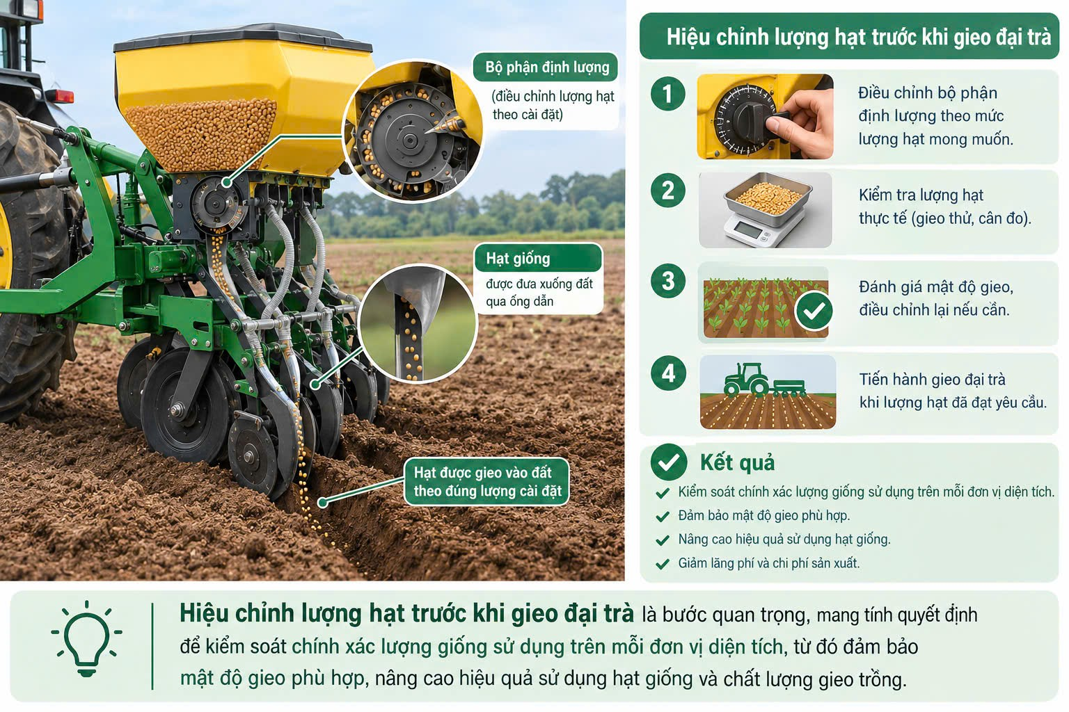 Hiệu chỉnh lượng hạt trước khi gieo đại trà là bước quyết định để kiểm soát lượng giống sử dụng trên mỗi đơn vị diện tích.