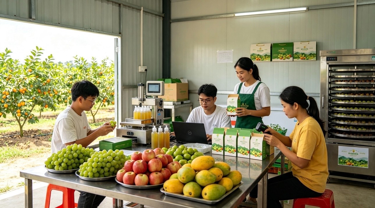 Người trẻ về quê: “Mỏ vốn” mới của nông thôn không chỉ nằm trong đất