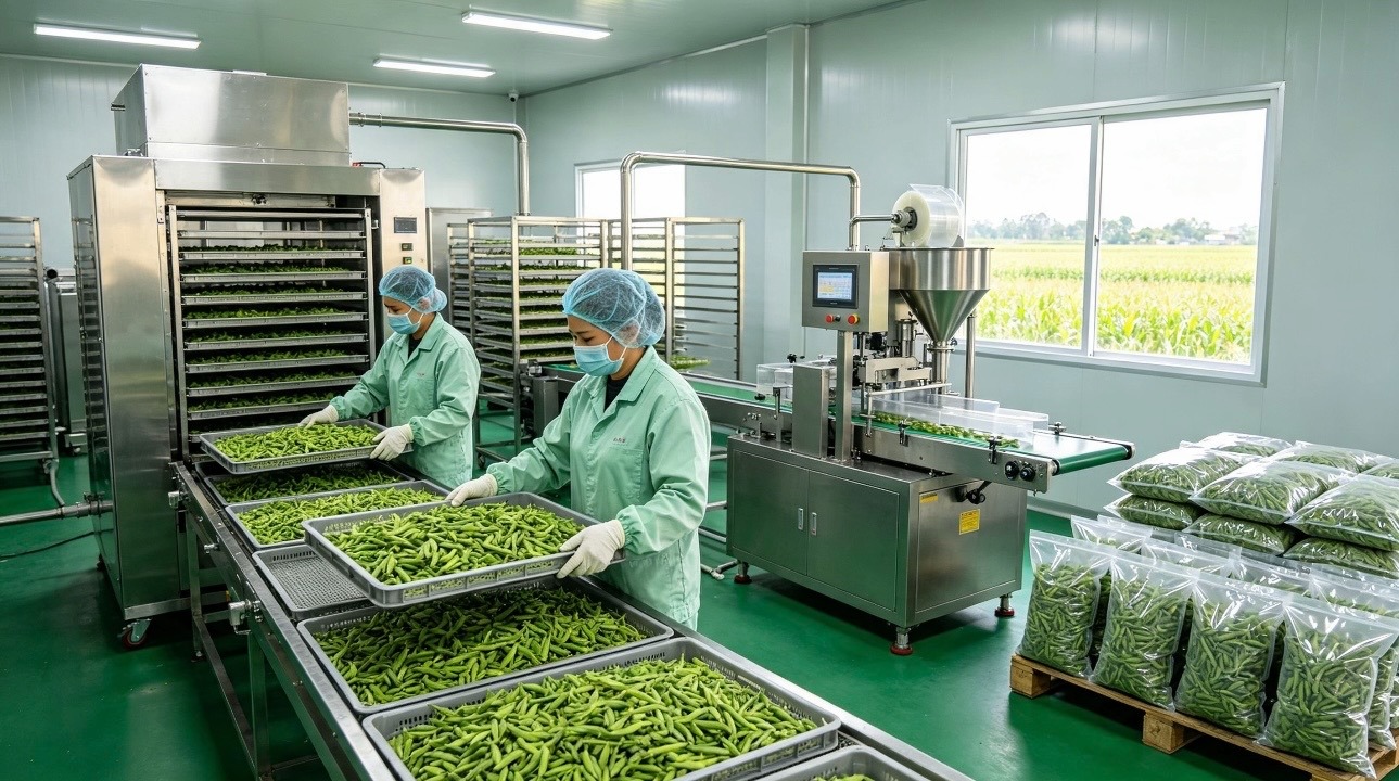 Doanh nghiệp công nghiệp nông thôn: Đầu tư đúng chỗ, nông sản thêm giá trị