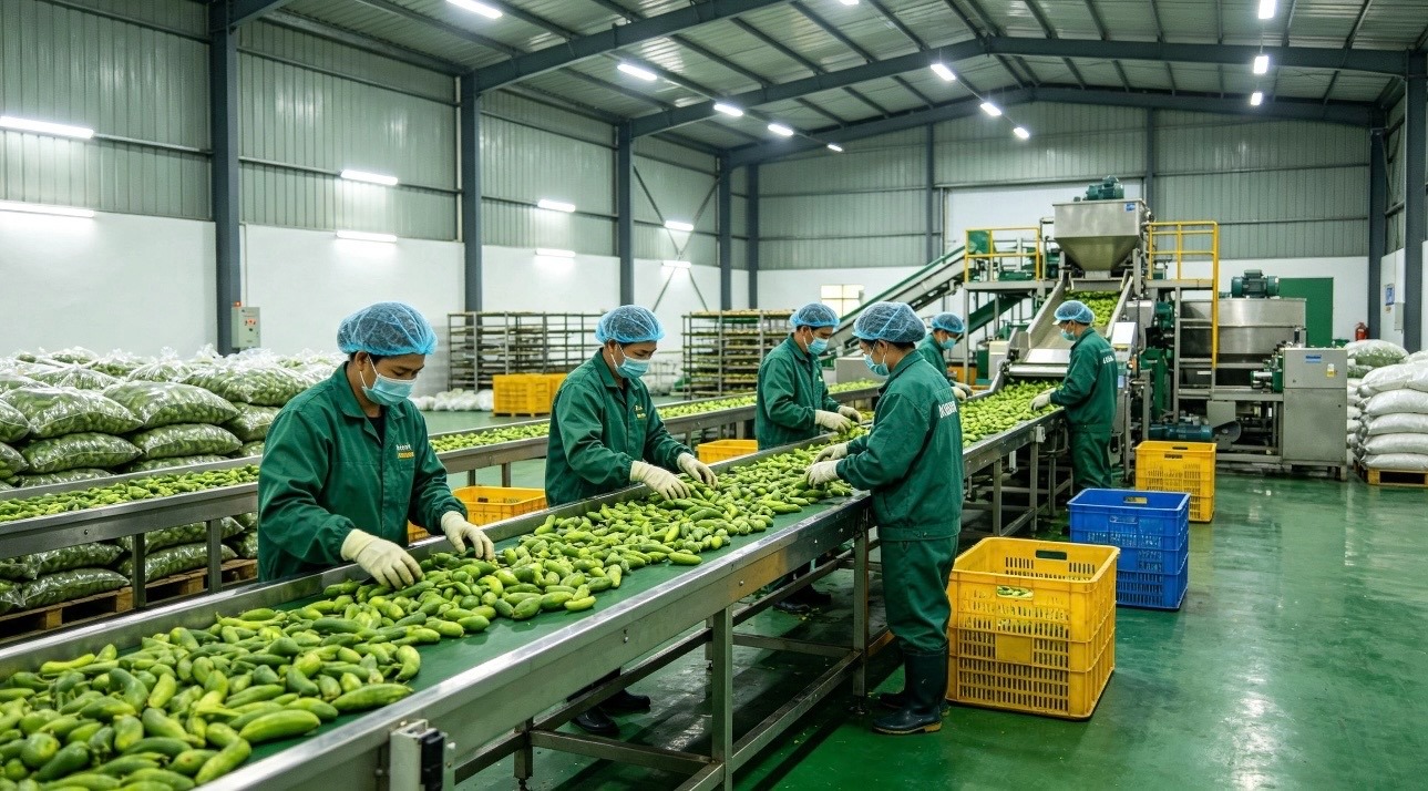 3 bài học để mô hình công nghiệp nông thôn đi đường dài