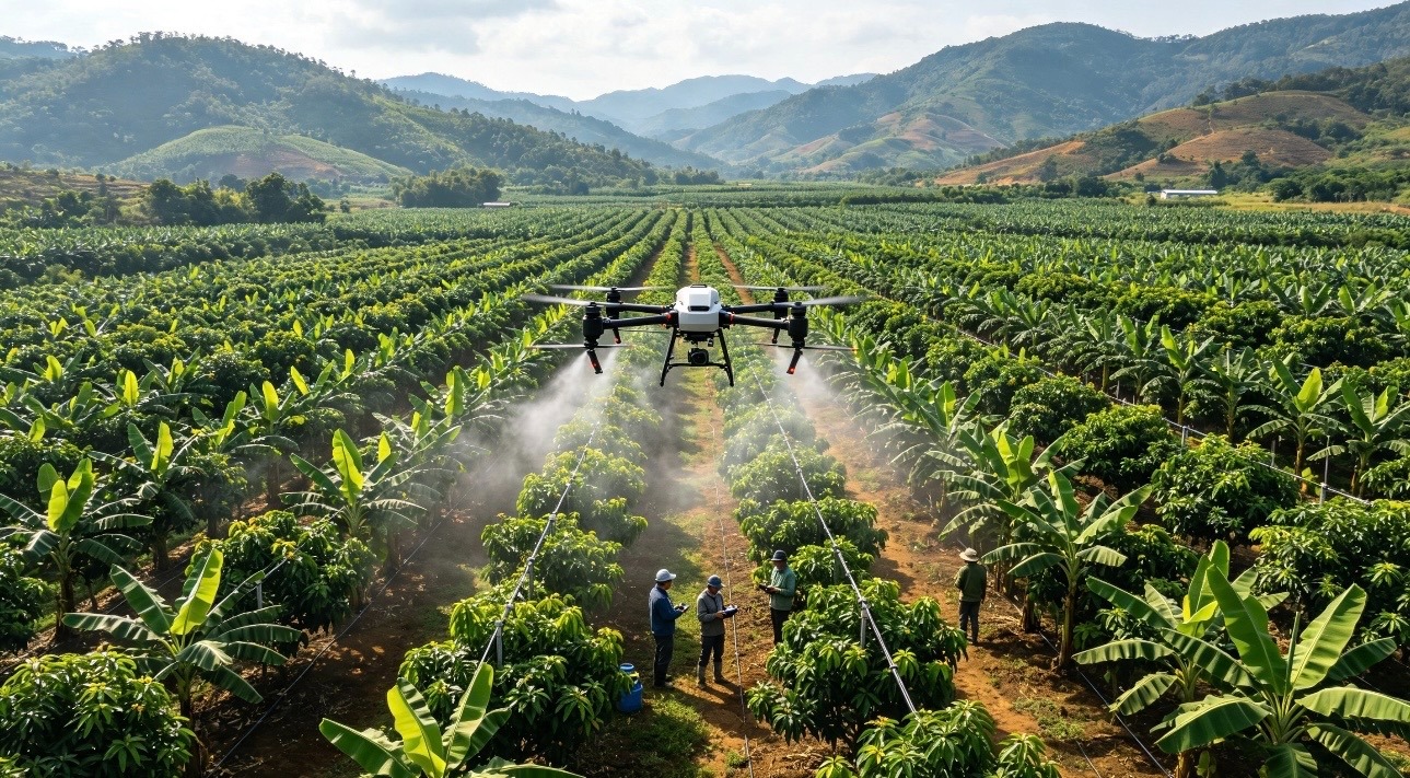 Drone bay, dữ liệu chạy: Khi vùng nguyên liệu được quản lý từ xa