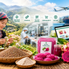 Đặc sản vùng cao: Đưa công nghệ vào chuỗi giá trị để mở rộng thị trường