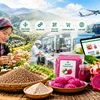 Đặc sản vùng cao: Đưa công nghệ vào chuỗi giá trị để mở rộng thị trường