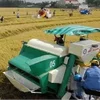 Tái cấu trúc cơ khí nông nghiệp: Chìa khóa nâng cao giá trị nông nghiệp Việt Nam