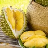 Giá sầu riêng hôm nay 12/10/2026: Sầu Thái loại A cơm chuẩn đạt 105.000 đồng/kg