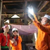 Công ty Điện lực Nghệ An: Bền bỉ thắp sáng niềm tin, đồng hành cùng quê hương phát triển