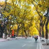 Dự báo thời tiết ngày 16/10: Hà Nội nắng, Nam Bộ chiều tối có mưa dông