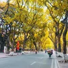 Thời tiết hôm nay 5/10: Bắc Bộ trời lạnh, Hà Tĩnh - Quảng Trị có nơi mưa rất to