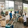 Cách xử lý phụ phẩm nông nghiệp để vừa bảo vệ môi trường vừa tạo thêm thu nhập