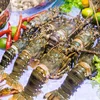 Xuất khẩu thủy sản vượt 9,1 tỷ USD: Tăng trưởng phân hóa, quý IV nhiều thách thức