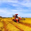 Nông nghiệp trước yêu cầu chuyển từ tăng sản lượng sang nâng giá trị