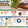 Xuất khẩu hồ tiêu 9 tháng năm 2026 tiếp tục tăng trưởng