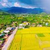 Sinh kế bền vững - Nền tảng xây dựng nông thôn mới ở vùng khó khăn