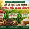 Giá nông sản hôm nay (29-6): Giá cà phê tăng mạnh, trở lại mốc 90.000 đồng/kg