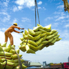 Thị trường 285 triệu dân rộng cửa đón thực phẩm Việt, doanh nghiệp cần chuẩn bị gì?
