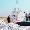 Xuất khẩu phân bón 6 tháng đầu năm đạt gần 1 tỷ USD, giá trị tăng hơn gấp đôi
