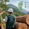 Thị trường gỗ xuất khẩu: Dấu chân carbon trở thành "tấm vé" giữ lợi thế cạnh tranh